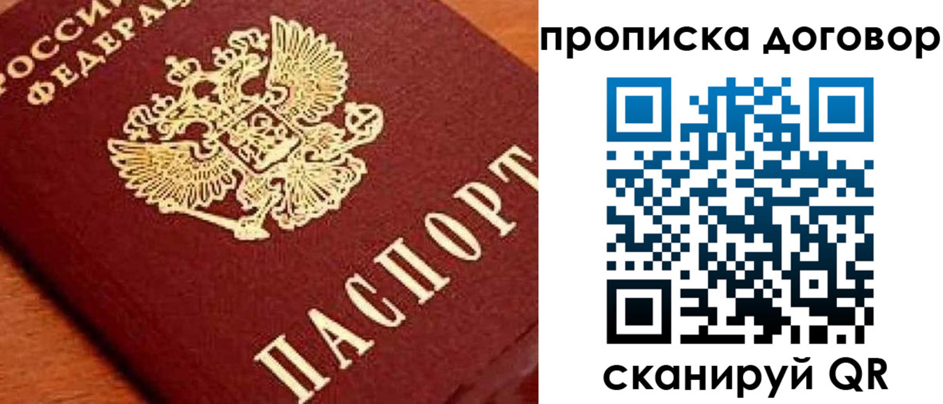 прописка поиск в Ртищево